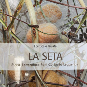 LA SETA – storia, letteratura, fatti, curiosità e leggende