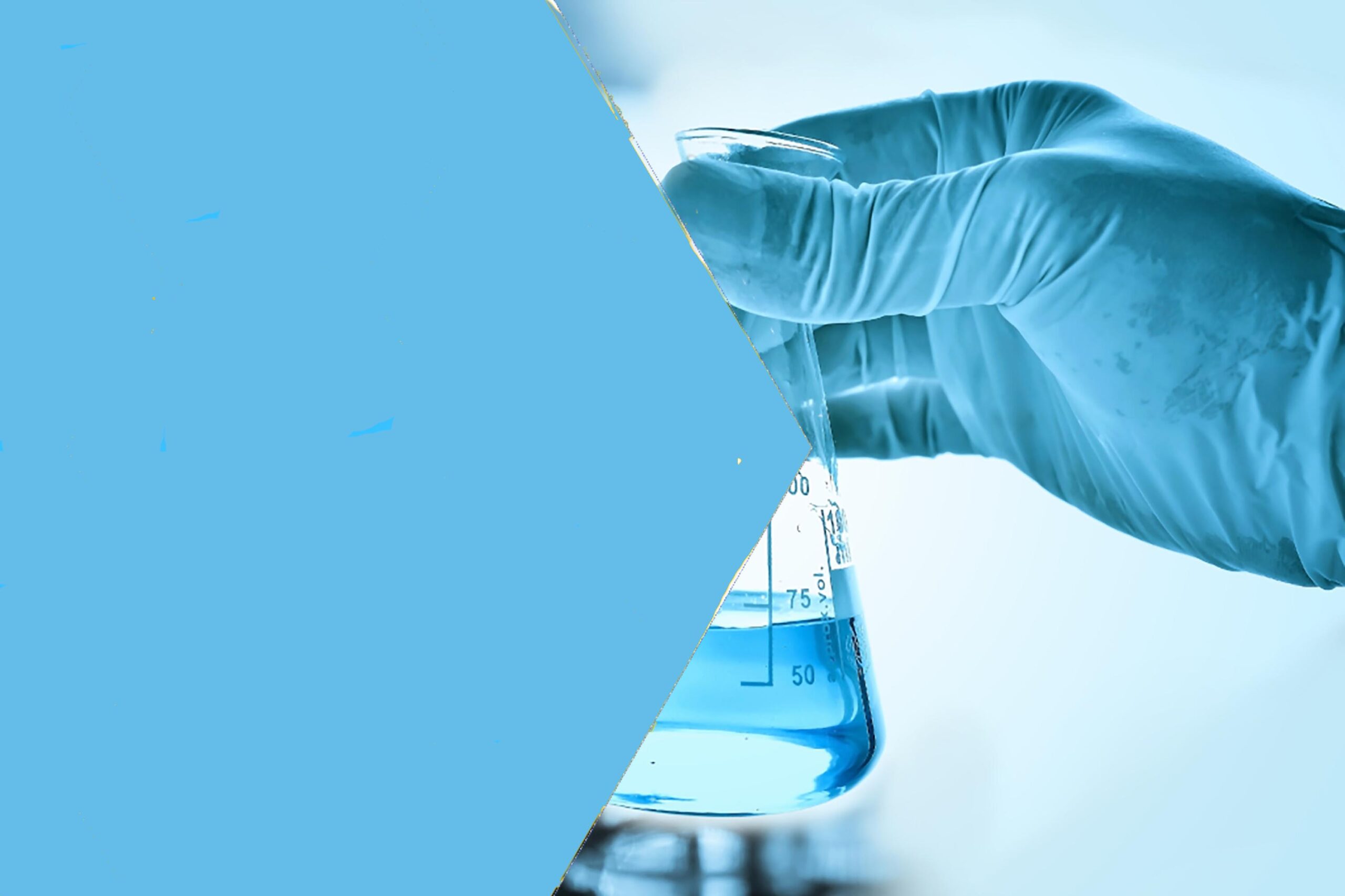 REACH & CLP: il futuro ha inizio